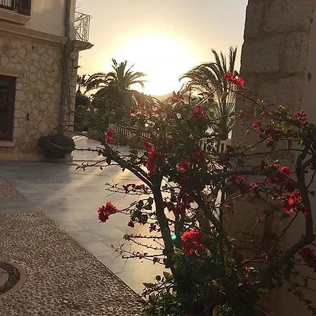 Cactus61 شقة كالكان